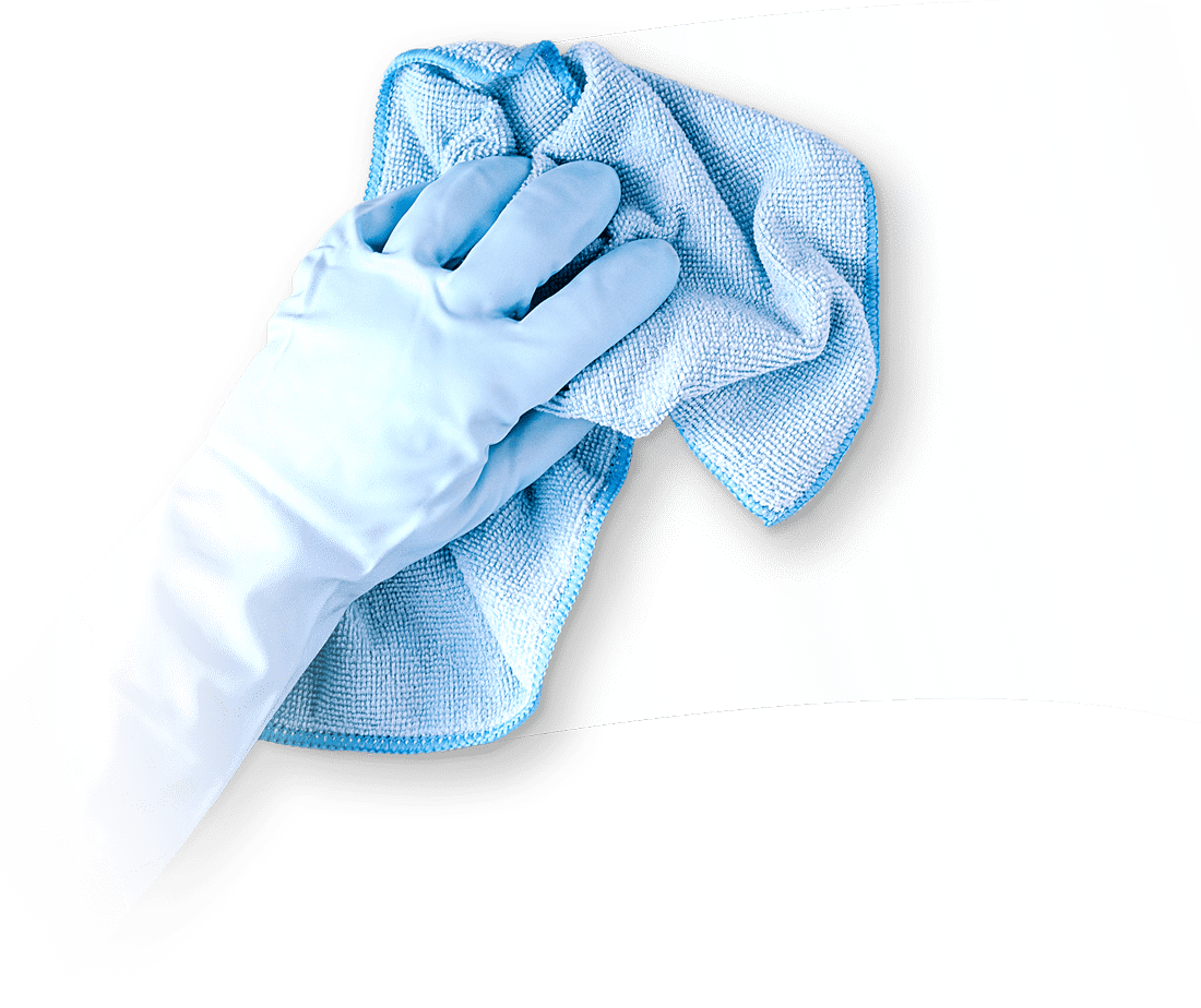Plus CleanUP Tampa Florida